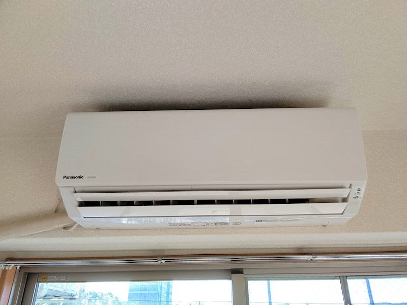 プレジオカーサ その他4