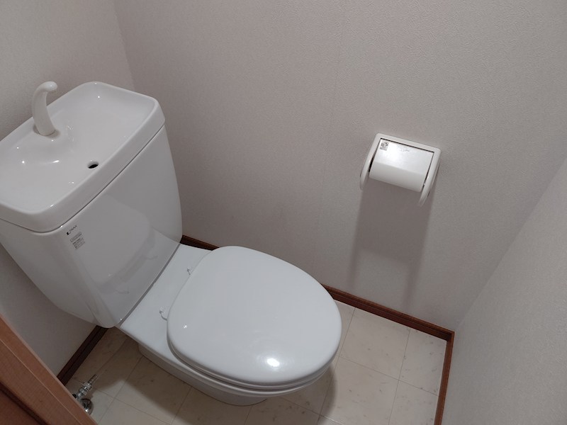 プレジオカーサ その他5