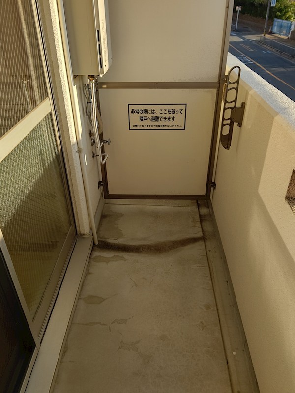 プレジオカーサ その他15