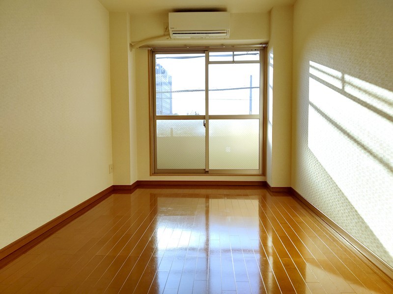 プレジオカーサ その他13