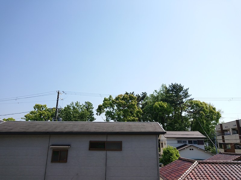 リッツなかもず  その他11