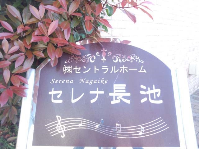 セレナ長池 その他21