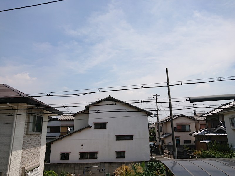 パインリーフ  その他28