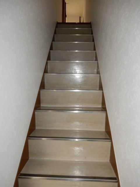 フォレストエレナ その他14