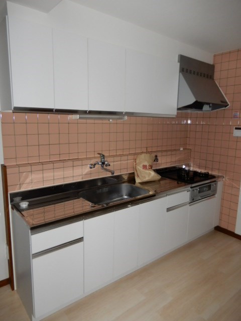 フォレストエレナ キッチン