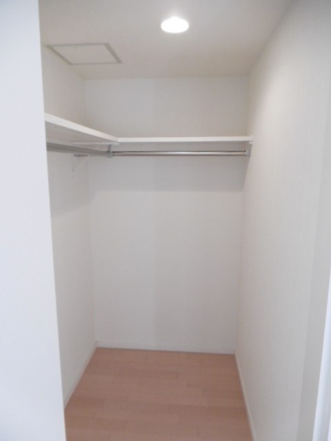viola その他2