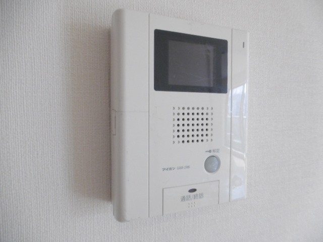viola その他3
