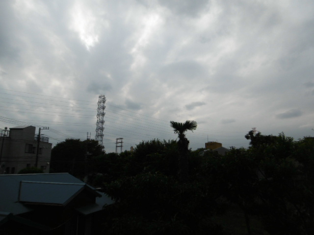 その他4
