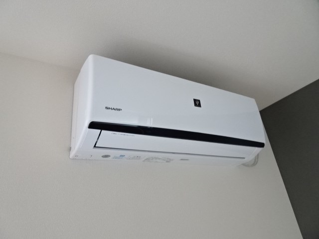 ヴァンベールM その他3