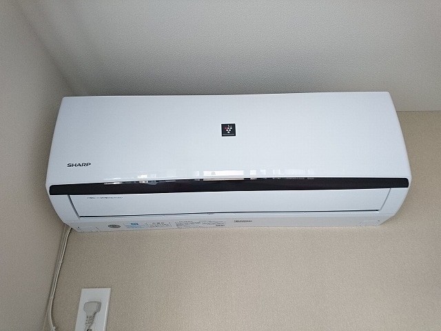 CELEN PLAISIR その他3