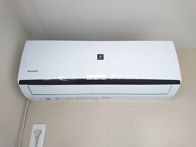 CELEN PLAISIR その他3