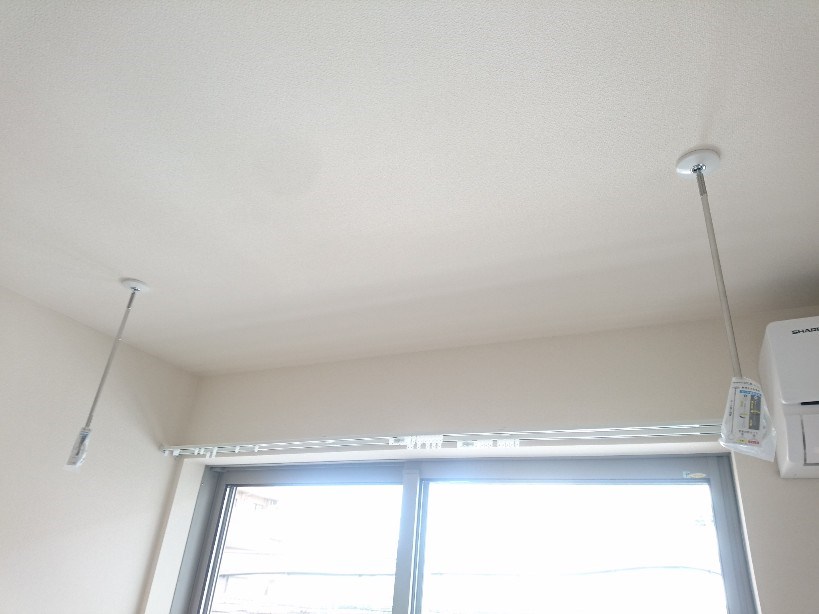 Chrysantheme その他8