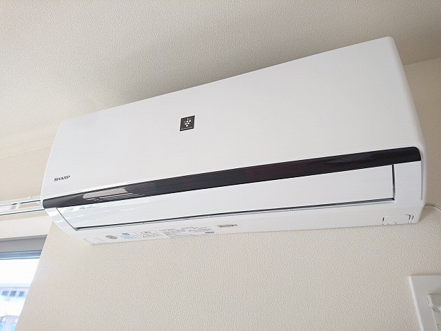 Chrysantheme その他5