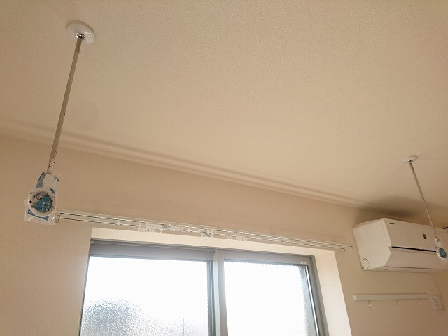 Chrysantheme その他10