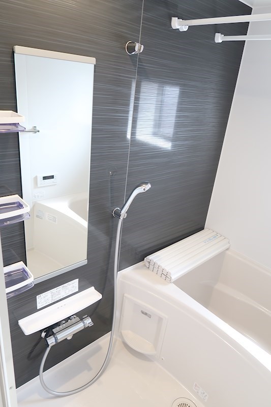 maison Ikebata 風呂画像