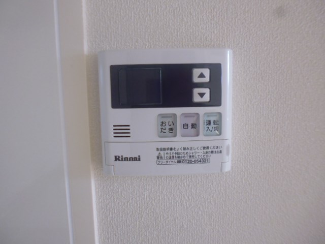 レセーナ その他4