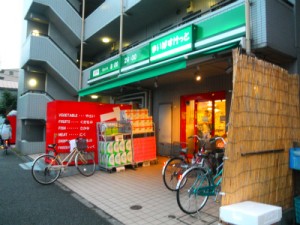 大師ヒルズ参番館 周辺画像10