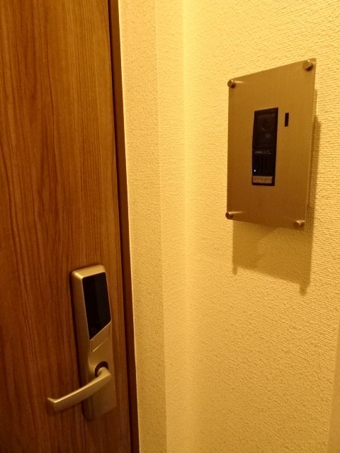 コーネリアス その他9