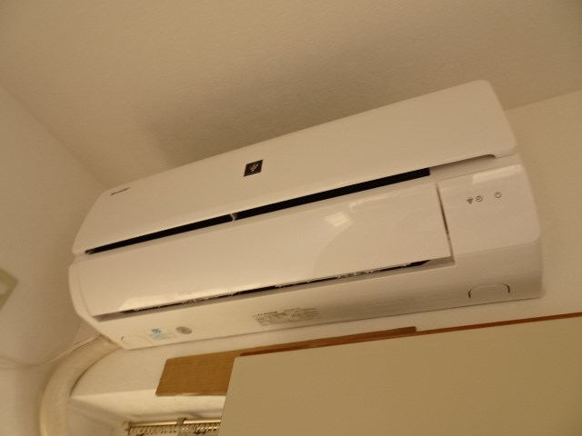 その他1