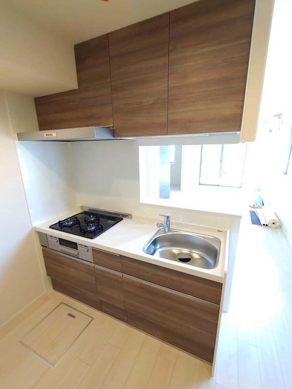 Secure House South キッチン