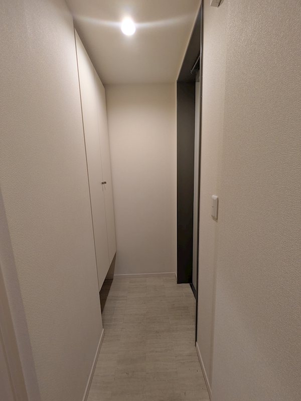 プチキューブ その他2