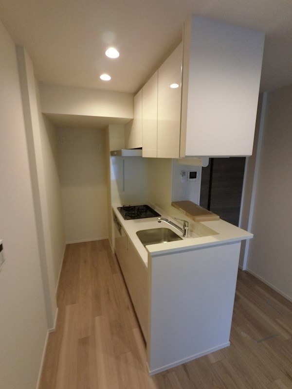 ヘーベルメゾン新川崎 キッチン