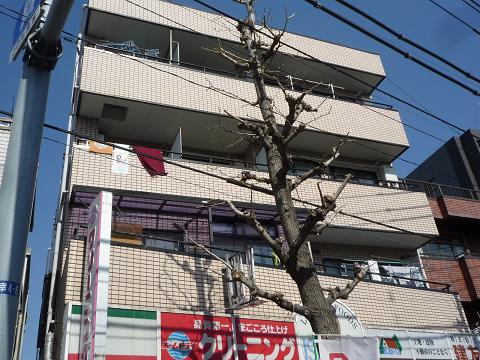 その他外観1