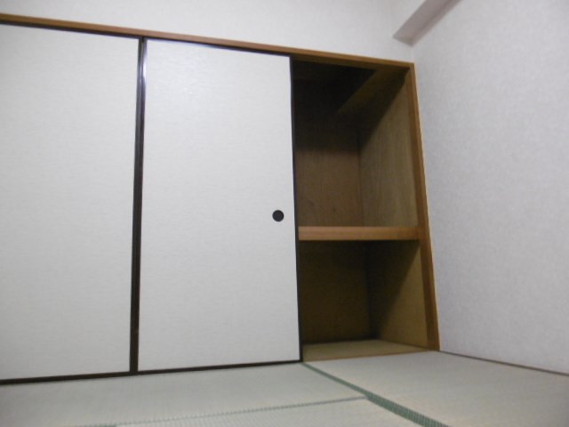 その他11