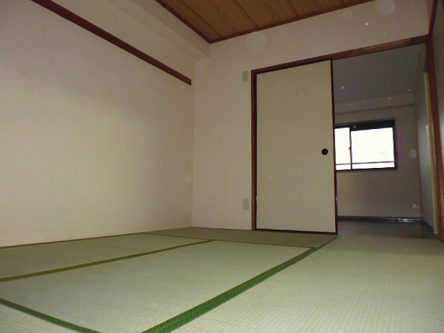 その他12