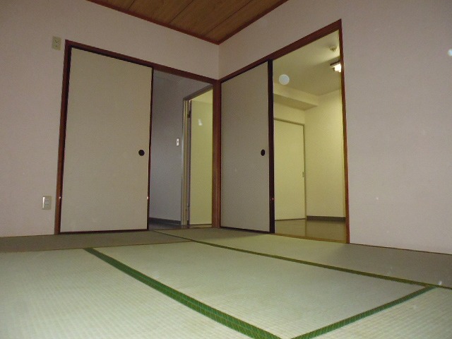 その他13