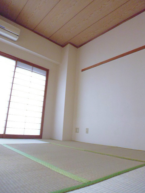 その他11