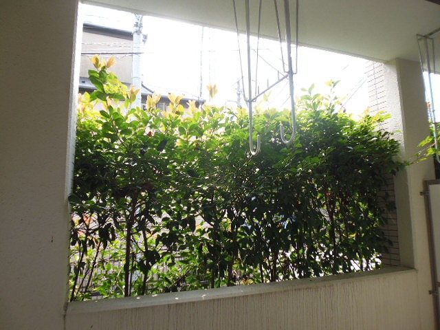 その他7