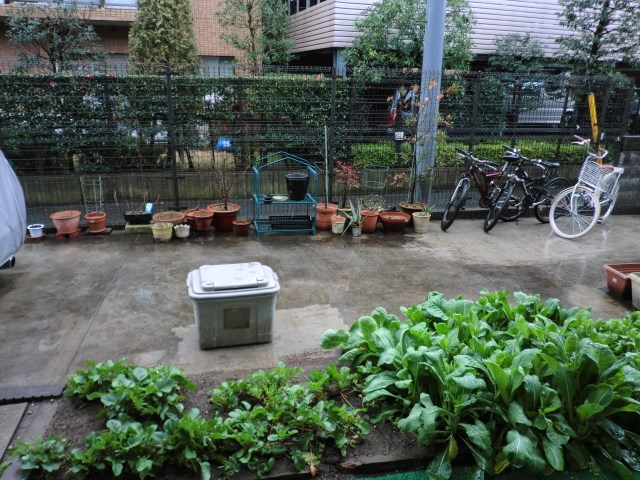 ベランダ