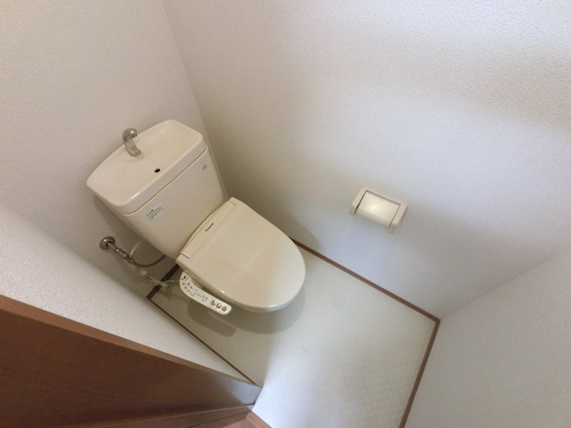 フラットコート その他1