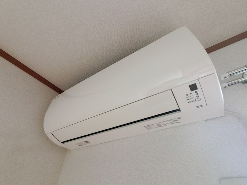 フラットコート その他3