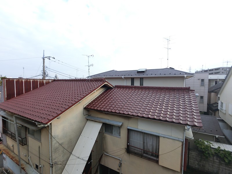 フラットコート その他6