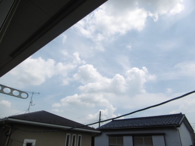 その他6