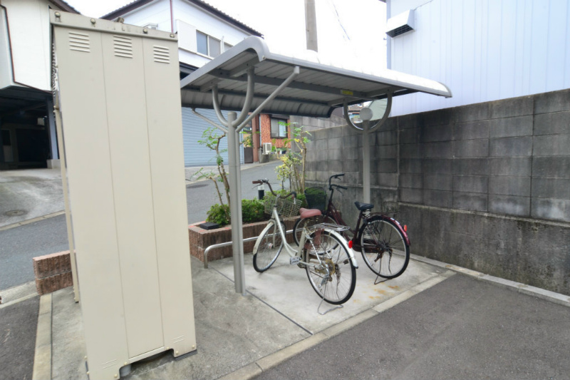 エヴァーグリーンP その他