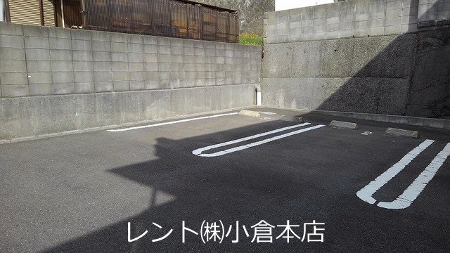 エヴァーグリーンP その他