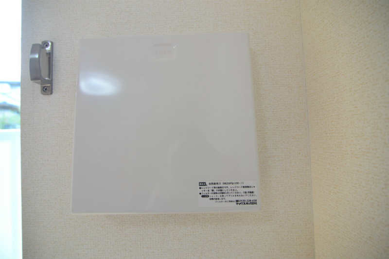 エヴァーグリーンP その他