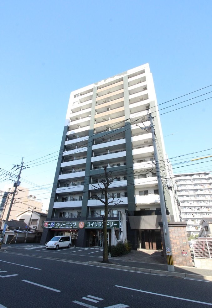 シグナス  外観