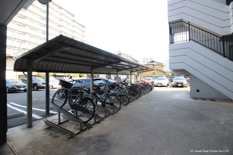 シグナス  その他