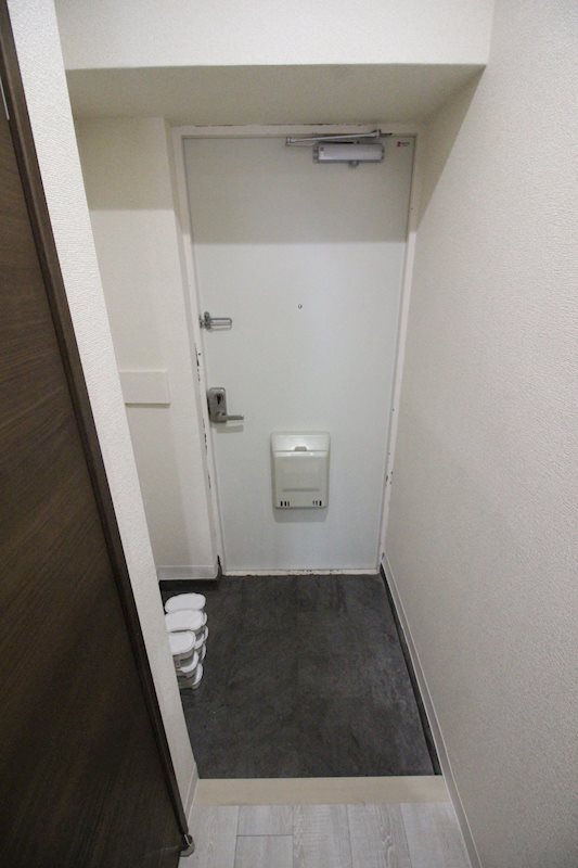 エルザビル香春口45 玄関