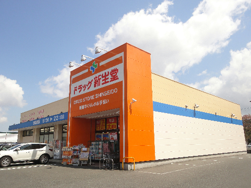 Cherim南方 ドラッグストア