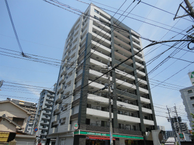 シグナス  外観