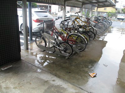 シグナス  その他