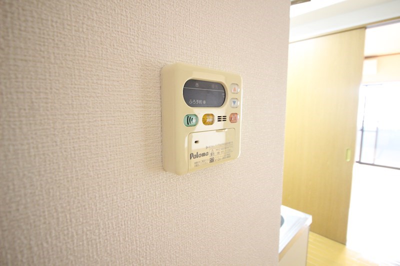 ソフィア   その他