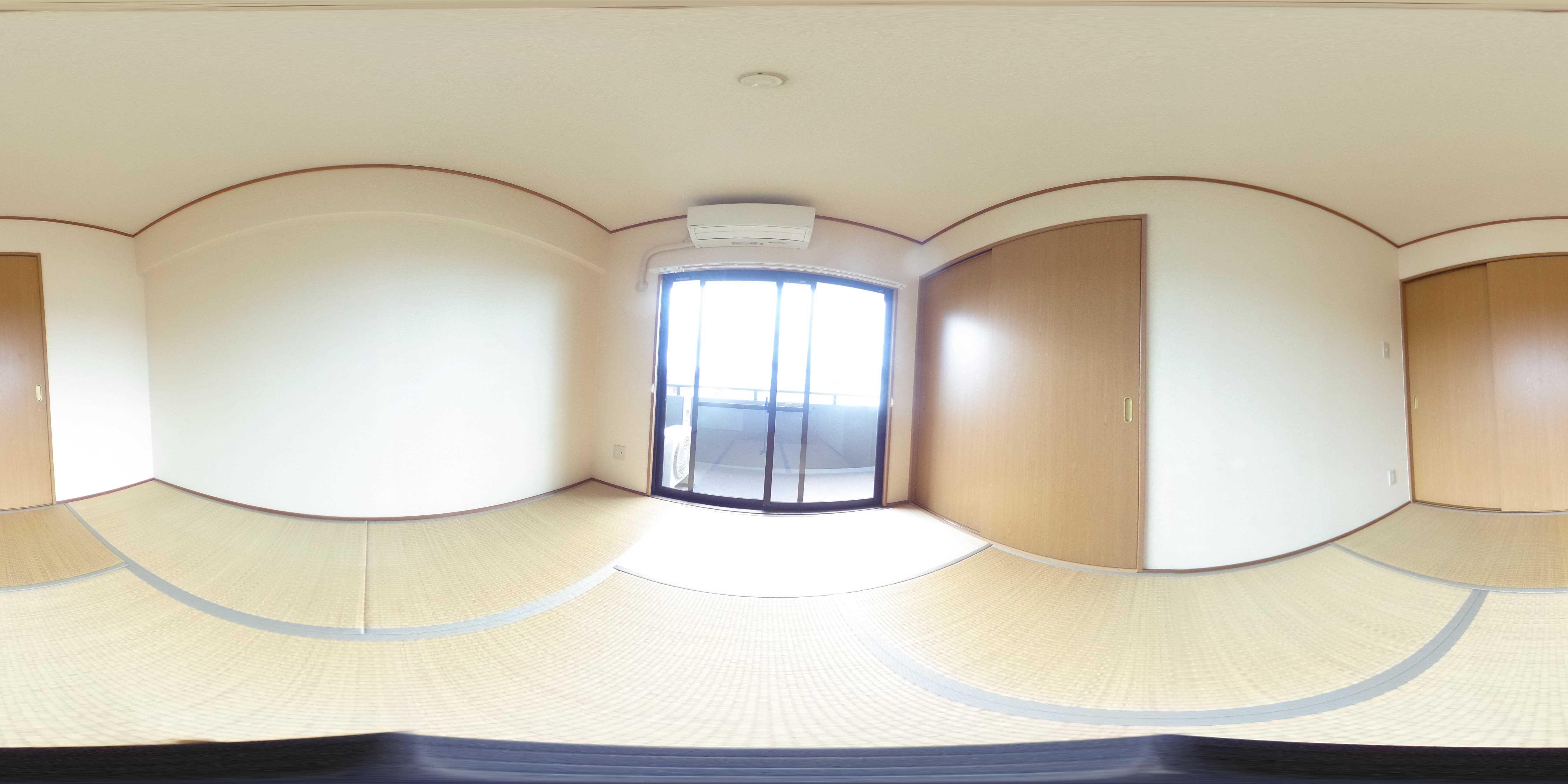 ソフィア   その他