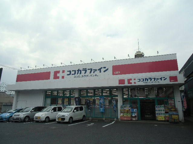 ニューエバーグリーン小倉 ドラッグストア