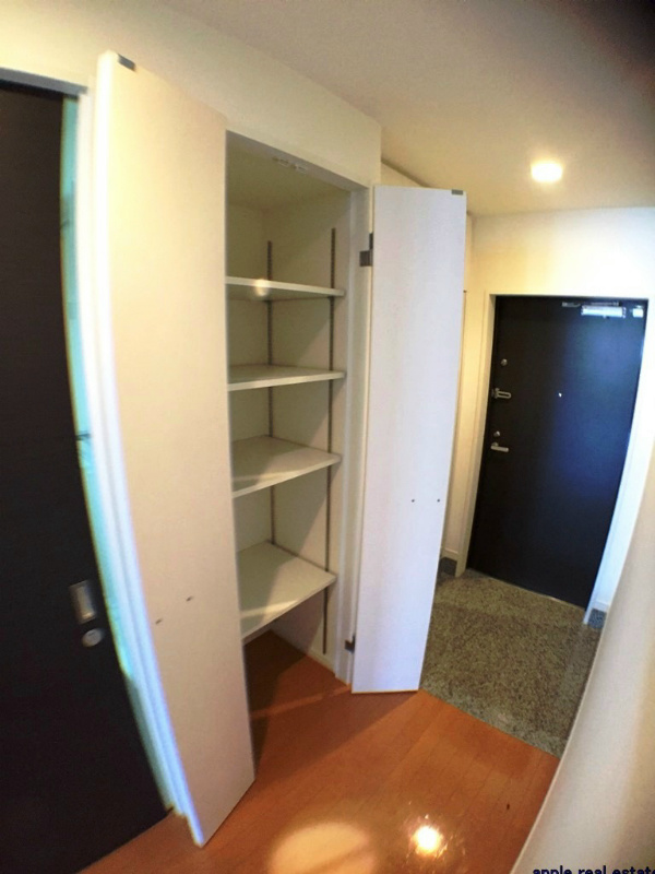 シャトレ大手町Ｎ棟  玄関
